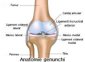 Meniscus leziune la nivelul genunchiului)