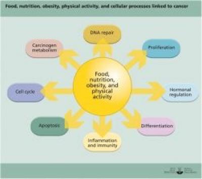 Suport nutritional in cancer