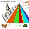 Carnea si leguminoasele. Piramida nutritionala