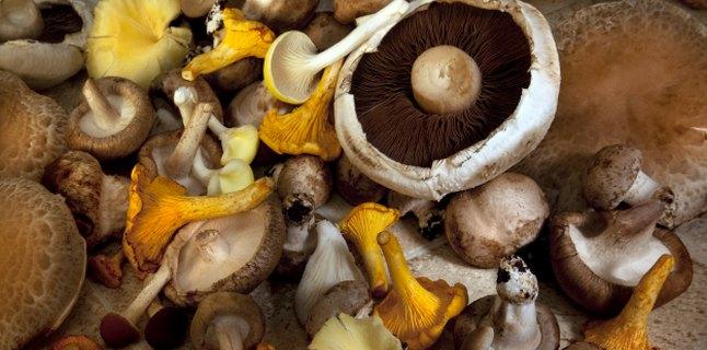 Beneficiile consumului de ciuperci pentru organism
