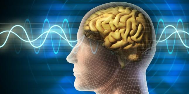Diferentele dintre cele doua emisfere cerebrale si functiile acestora