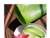 aloe_vera_secom.jpg