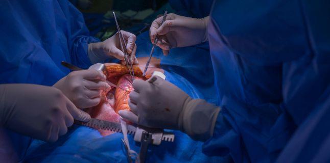 Romania si Ungaria vor colabora in domeniul transplantului pulmonar Romania si Ungaria vor colabora in domeniul transplantului pulmonar