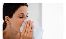 Febra de fan sau rinita alergica