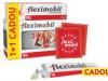 fleximobil.jpg