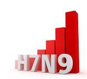 A fost confirmat primul caz de gripa aviara H7N9 la om in Hong Kong