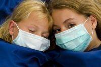 Cat de ‘virala’ este gripa porcina pe internet?