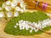 Tratamentul homeopat al alergiilor