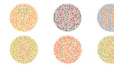 Discromatopsia: lipsa de perceptie a culorilor