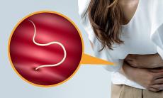 Cum se manifesta infectiile cu paraziti intestinali?