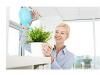 plante_apartament.jpg