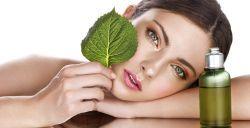 Produsele BIO incetinesc degradarea pielii, hranind-o in profunzime cu ingrediente naturale de cea mai buna calitate Produsele BIO incetinesc degradarea pielii, hranind-o in profunzime cu ingrediente naturale de cea mai buna calitate