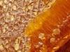 propolis.jpg