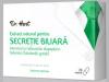 secretie-biliara.jpg