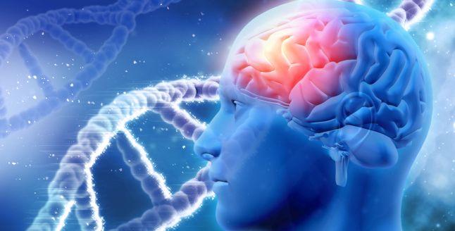 Supliment naturist pentru Alzheimer, dementa si alte afectiuni cerebrale Supliment naturist pentru Alzheimer, dementa si alte afectiuni cerebrale