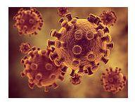 Trei tipuri majore de gripa: ce trebuie sa stii despre ele
