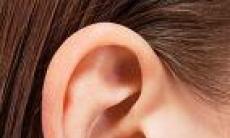 Urechile: ingrijirea si prevenirea afectiunilor frecvente