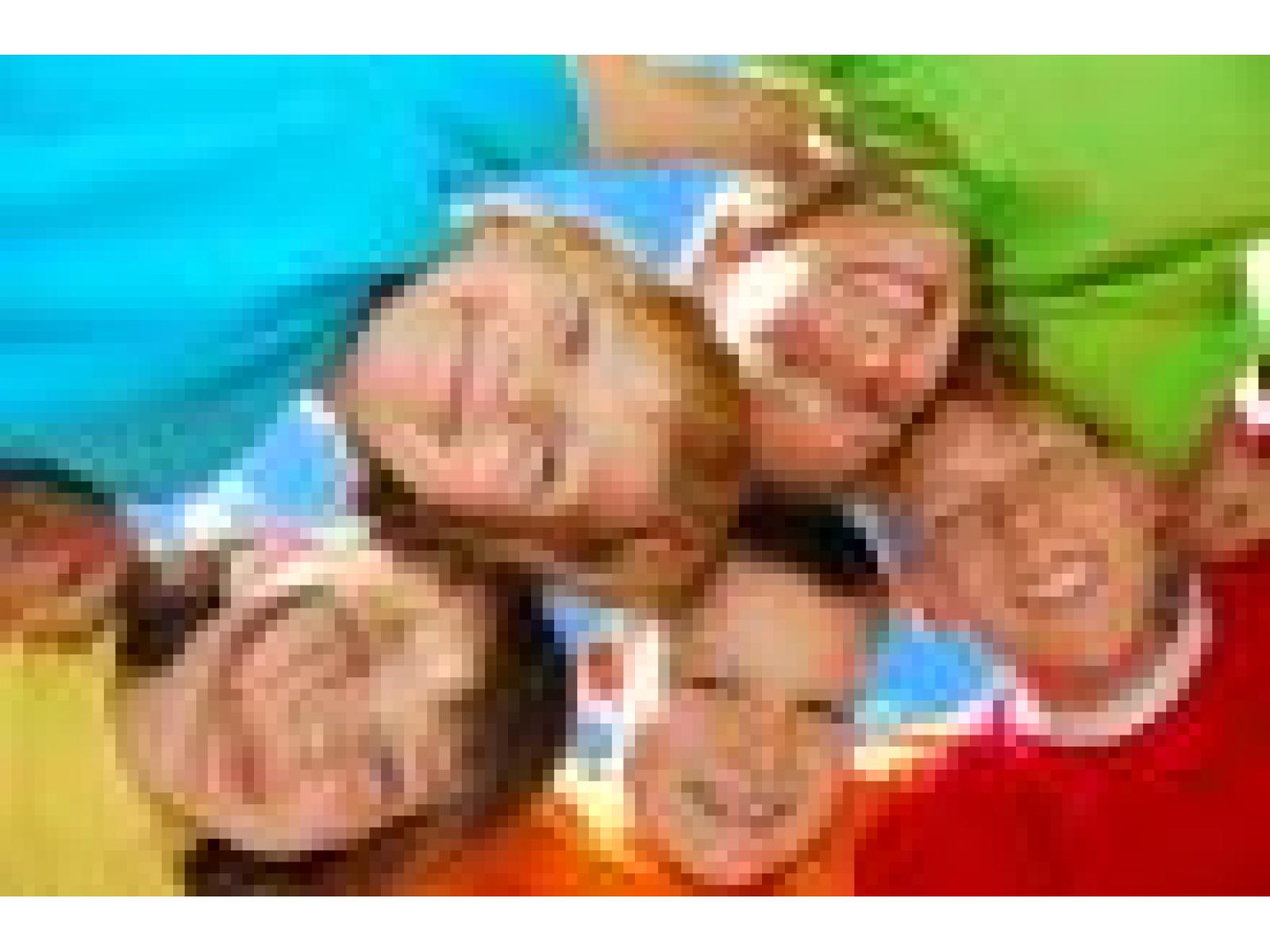 Monica Bolocan - Cabinet de psihologie pentru copii, adolescenti si... - stock-photo-4107146-happy-kids.jpg