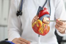 Defectele de sept ventricular pot cauza complicatii cardiace, atunci cand nu sunt tratate la timp