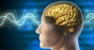 Diferentele dintre cele doua emisfere cerebrale si functiile acestora