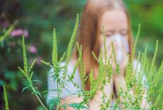 Iulie – septembrie, sezonul alergiei la Ambrozie. Cum ne protejam?