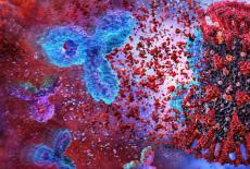 Ce anticorpi apar in urma infectiei cu SARS-CoV-2 si cand se dezvolta? Explicatiile specialistilor MedLife
