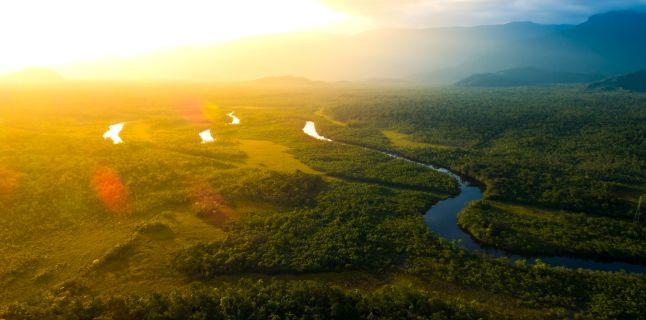 Lupta impotriva cancerului – reteta din 6 plante din Padurea Amazoniana pe care localnicii le folosesc de mii de ani