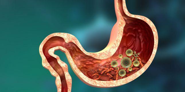 STUDIU. Bacteriile intestinale ar putea influenta severitatea COVID-19
