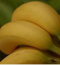 Bananele: surse naturale de slabit