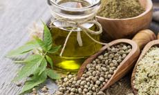 Beneficiile uleiului si ale semintelor de canepa