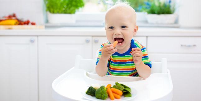 Dieta vegana in randul copiilor