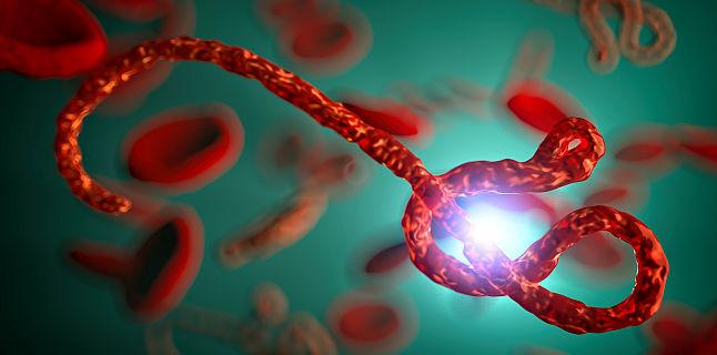 Ebola: simptome, cauze, tratament si preventie