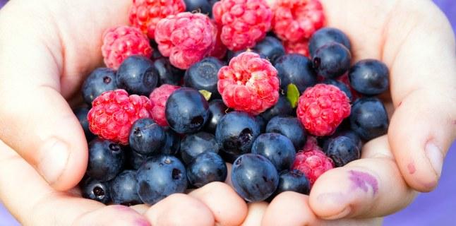 cele mai bune fructe de padure pentru pierderea de grăsimi