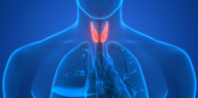 Legatura dintre functia tiroidiana si caderea parului