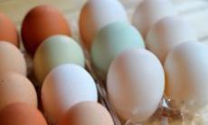 Informatii surprinzatoare despre oua