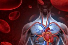 Factorii care determina aparitia si agravarea insuficientei cardiace