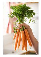 De ce sunt importanti morcovii in alimentatie si ce beneficii aduc