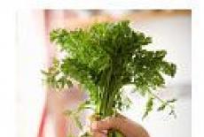 De ce sunt importanti morcovii in alimentatie si ce beneficii aduc