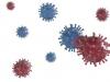 STUDIU. Cum interactioneaza COVID-19 cu virusul gripal