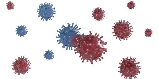 STUDIU. Cum interactioneaza COVID-19 cu virusul gripal