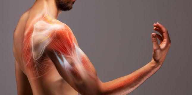 Pierderea masei musculare – simptom al bolii celiace?