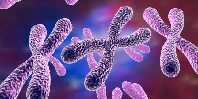 Revolutie in tratamentul bolilor grave: telomerii
