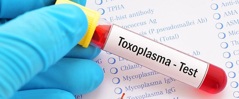 tratamentul toxoplasmozei tratament cu un remediu popular pentru prostatita