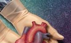 Informatii esentiale despre transplantul de organe 