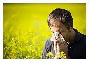 Tratamentul alergiilor sezoniere